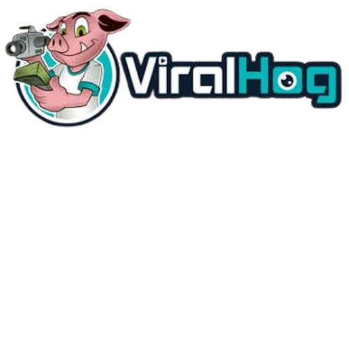 ViralHog